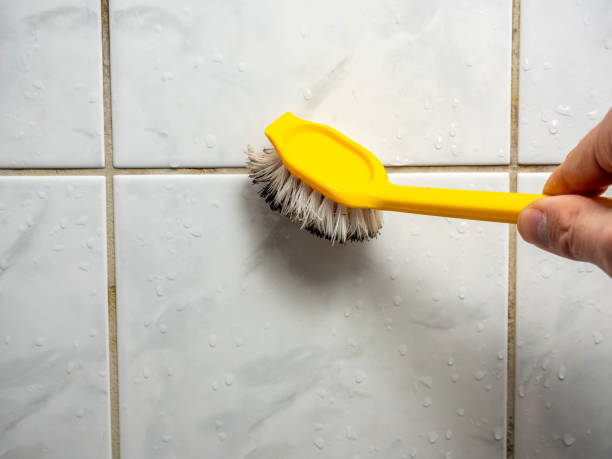 Best Emergency Mold Removal  in Harrison, OH