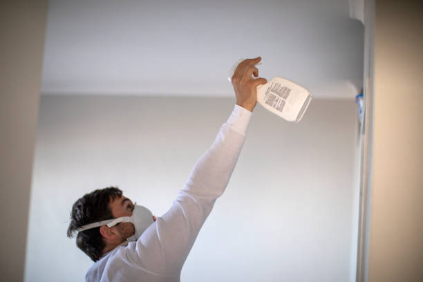 Best Crawl Space Mold Removal  in Harrison, OH