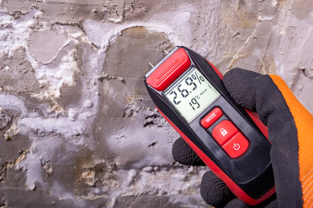 Best Affordable Mold Removal  in Harrison, OH