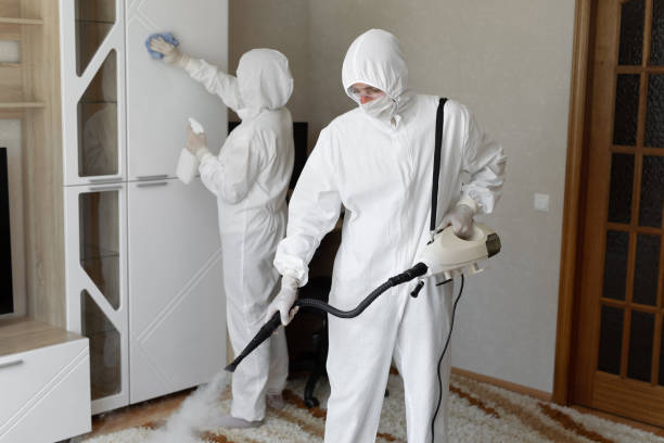 Best Commercial Mold Removal  in Harrison, OH