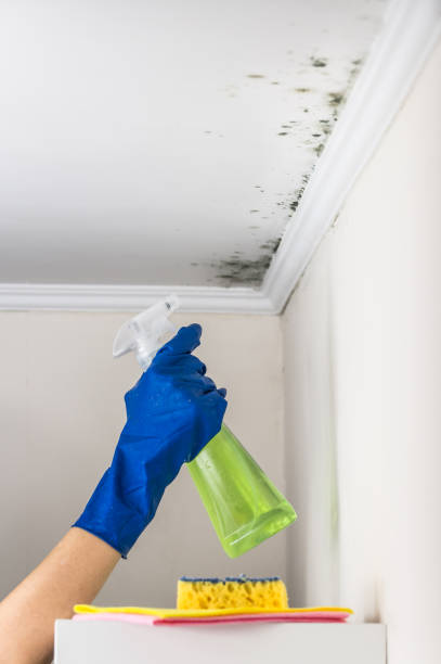 Best Mold Testing  in Harrison, OH